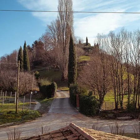 Bed & Breakfast La Vigna Di Sarah *